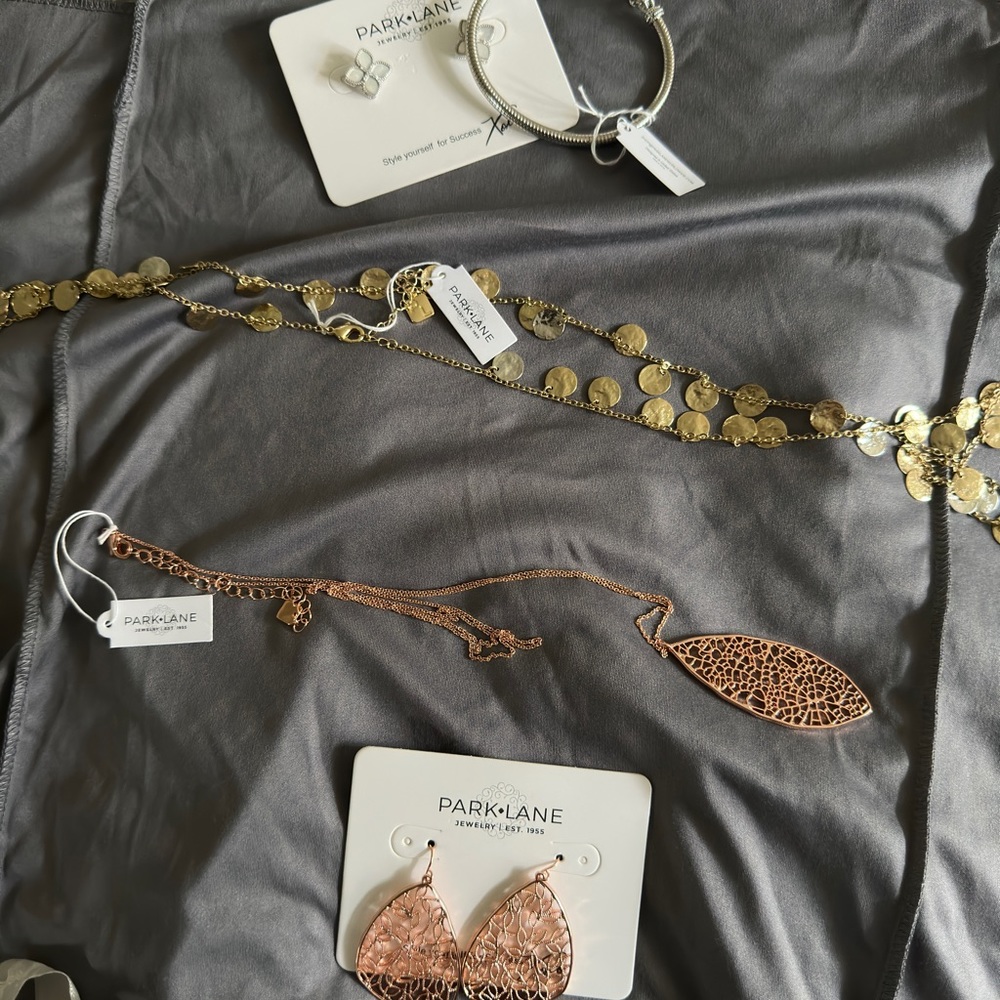Park lane jewelry lot
